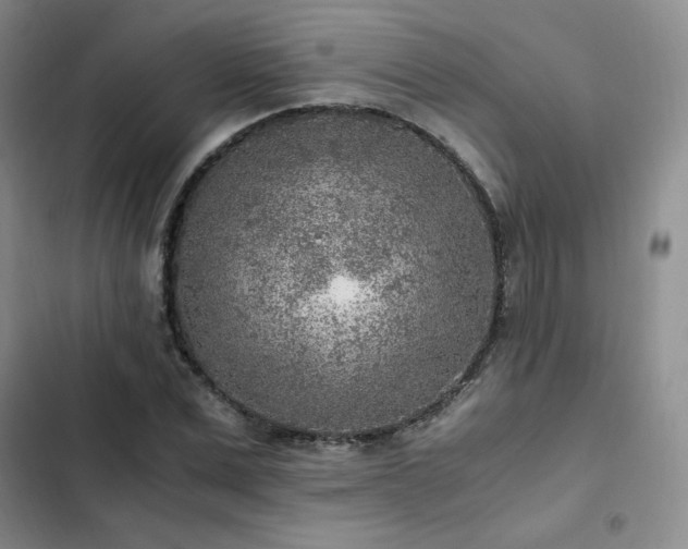 X0000103160975200808221350