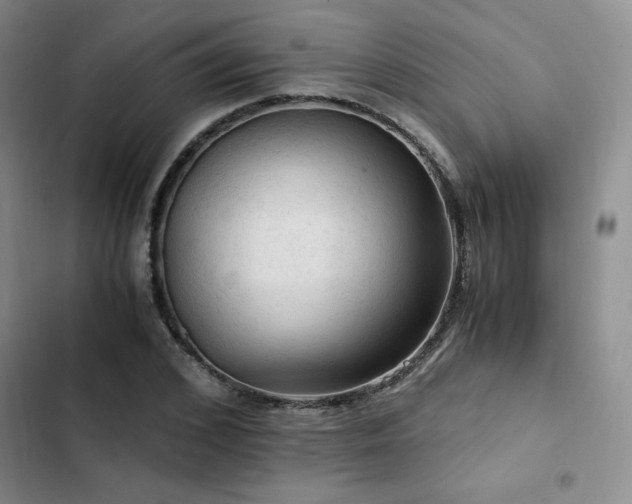 X0000103160976200808221350