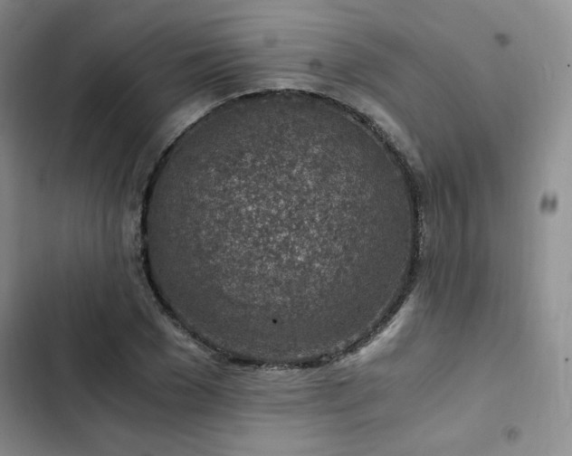X0000103160977200808221350