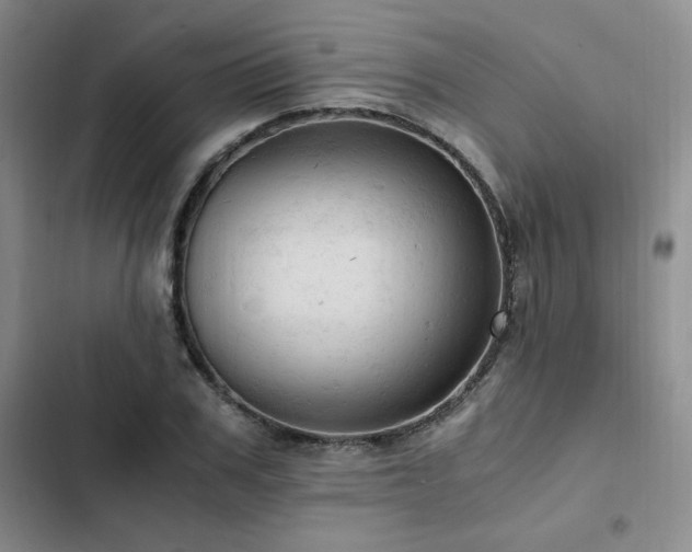 X0000103160979200808221350