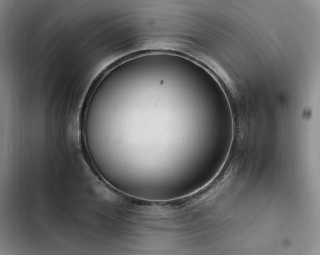 X0000103160980200808221350