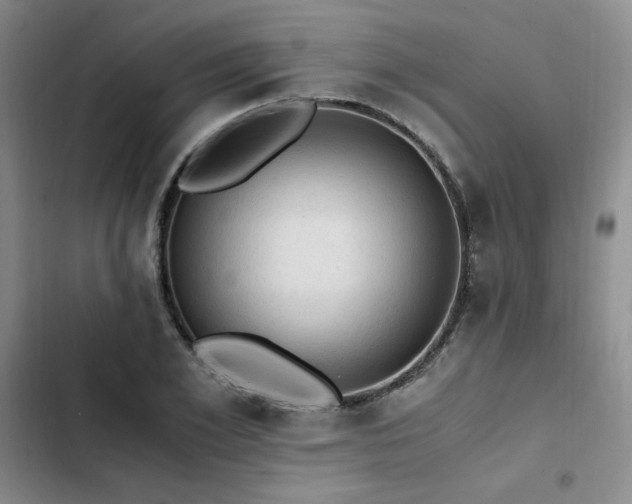 X0000103160981200808221350