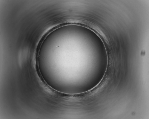 X0000103160984200808221350