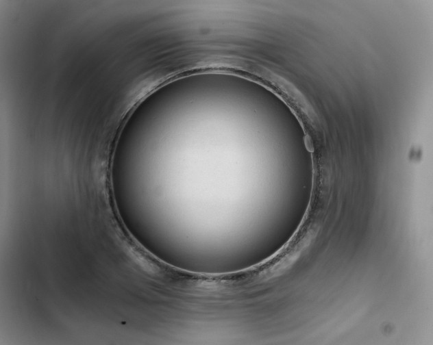 X0000103160985200808221350