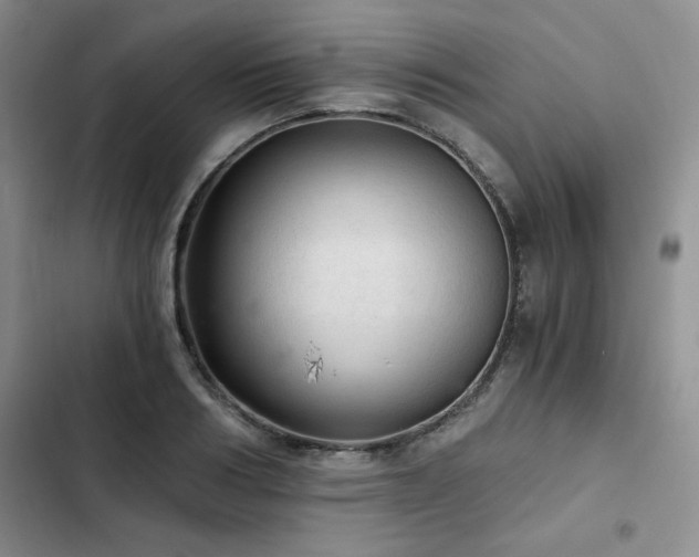 X0000103160986200808221350