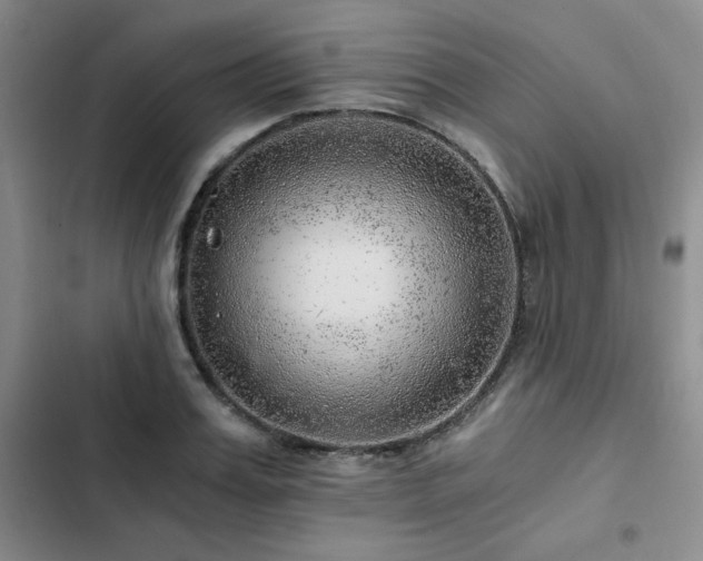 X0000103160987200808221350