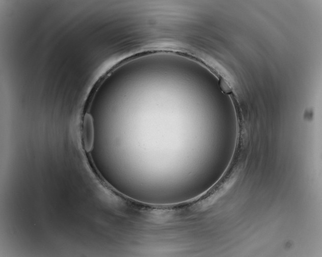 X0000103160989200808221350
