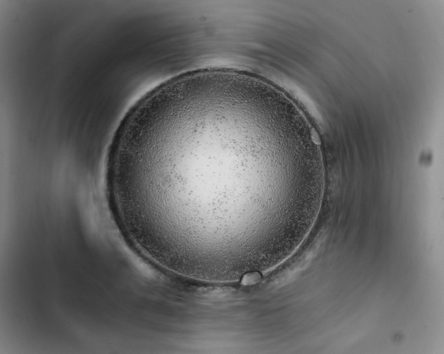 X0000103160991200808221350