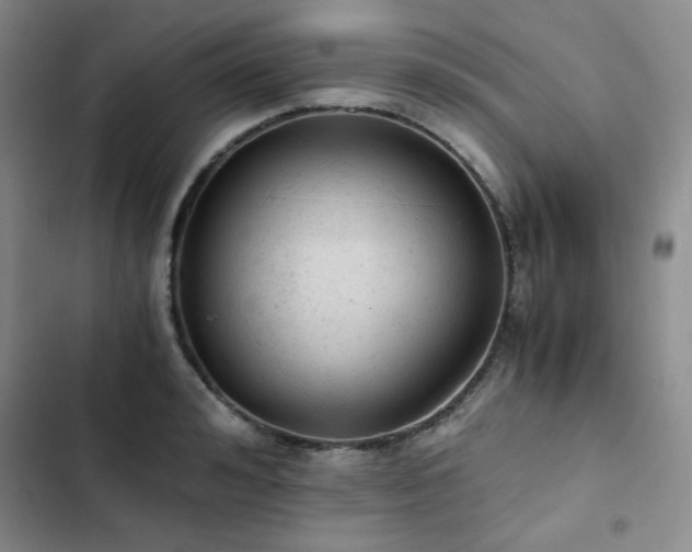 X0000103160992200808221350