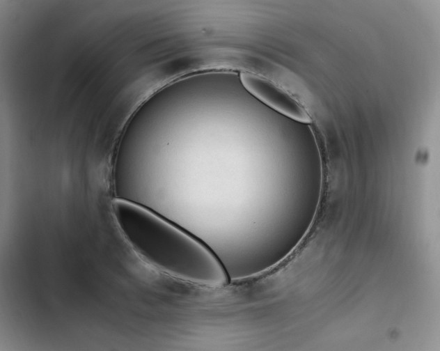 X0000103160993200808221350