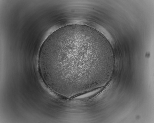 X0000103160994200808221350