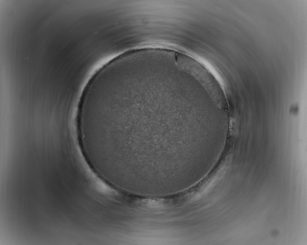 X0000103160995200808221350