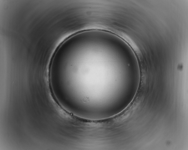 X0000103160996200808221350