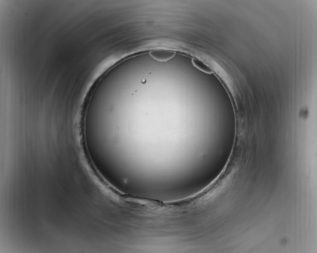 X0000103160997200808221350