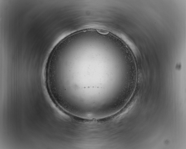 X0000103160999200808221350