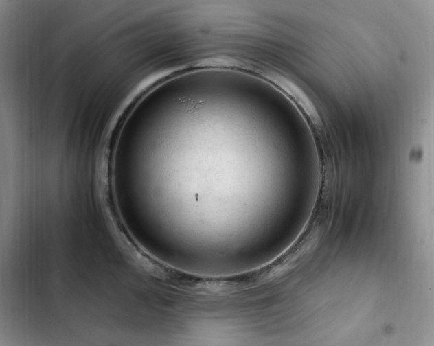 X0000103161000200808221350