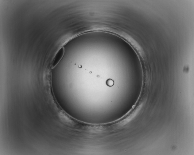 X0000103161001200808221350