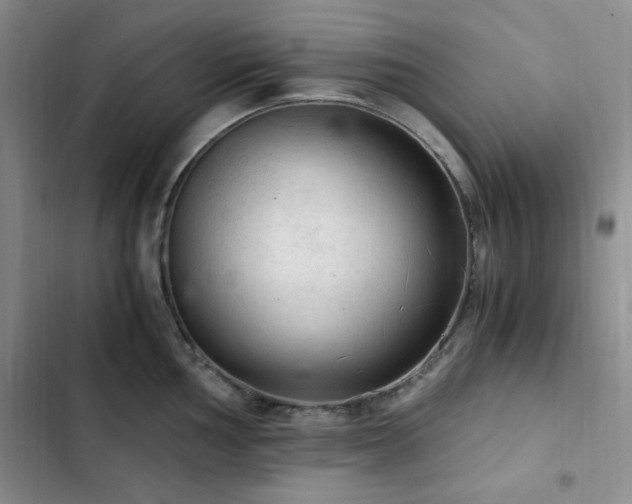 X0000103161002200808221350