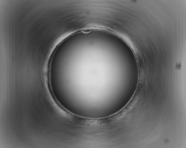 X0000103161003200808221350
