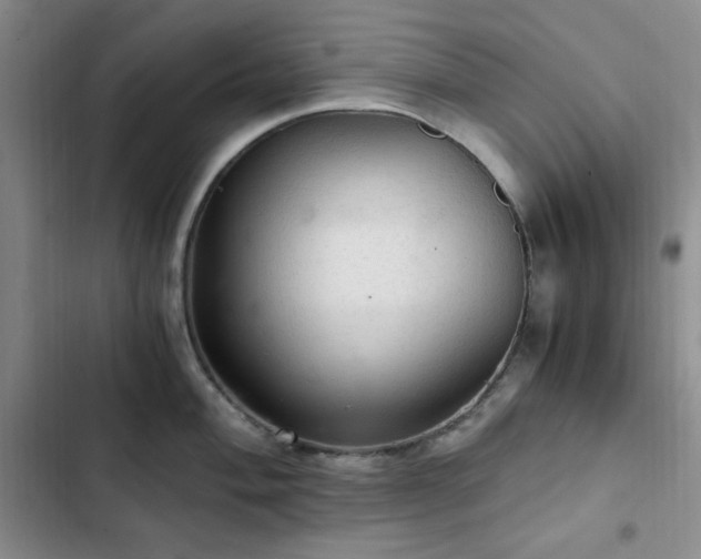 X0000103161004200808221350