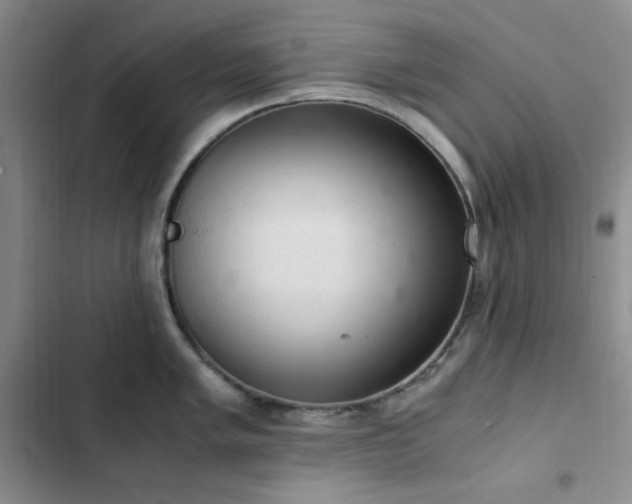 X0000103161005200808221350