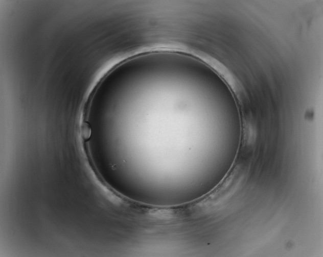 X0000103161006200808221350