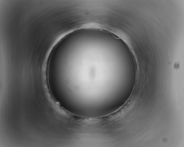 X0000103161008200808221350