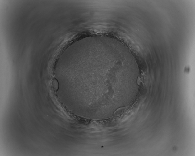 X0000103161009200808221349