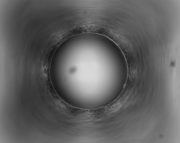 X0000103161010200808221349