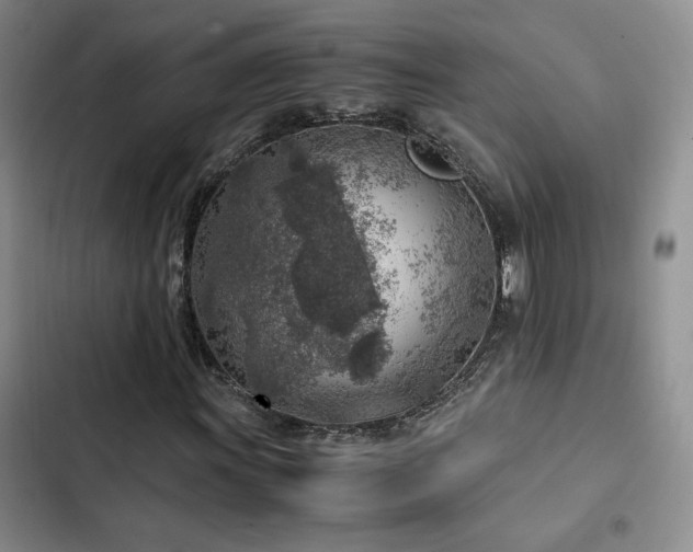 X0000103161011200808221349