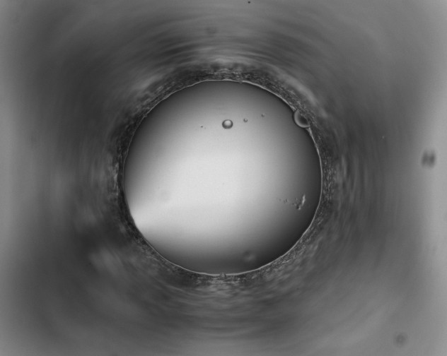 X0000103161013200808221349