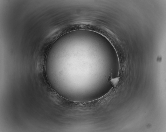 X0000103161014200808221349