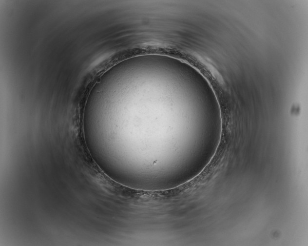 X0000103161015200808221349