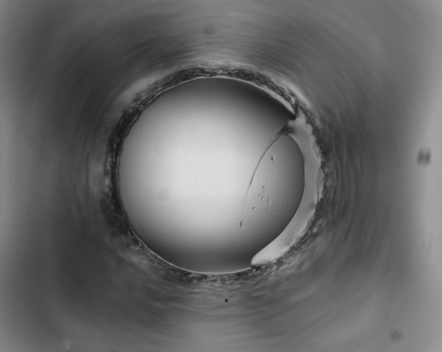 X0000103161016200808221349