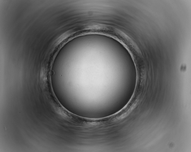 X0000103161017200808221349