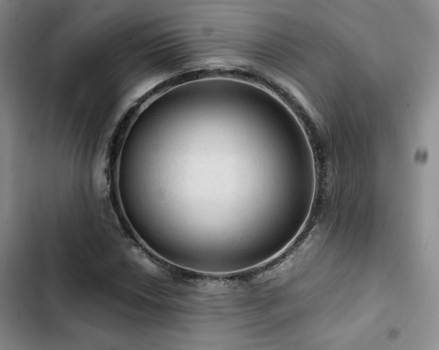 X0000103161018200808221349