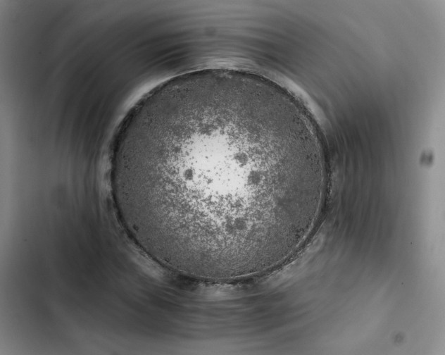 X0000103161019200808221349