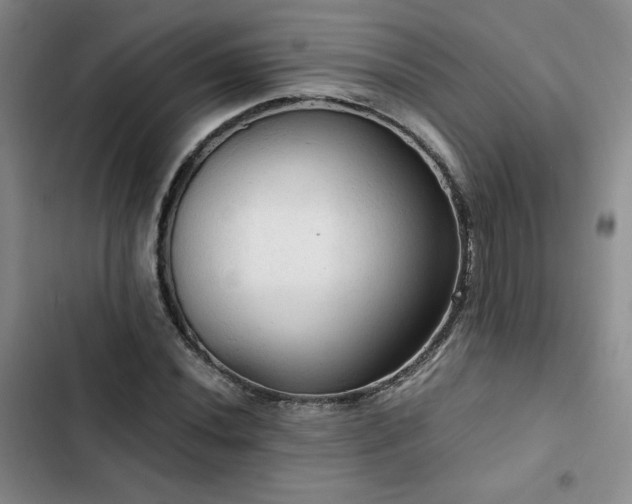X0000103161020200808221349
