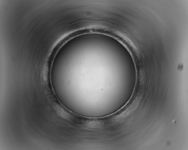 X0000103161021200808221349