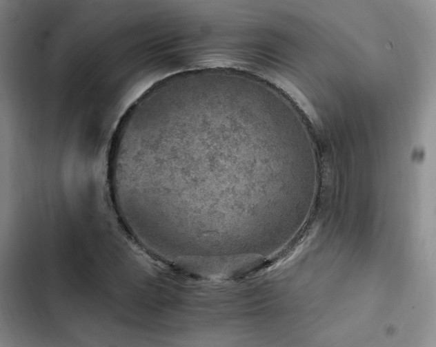 X0000103161023200808221349