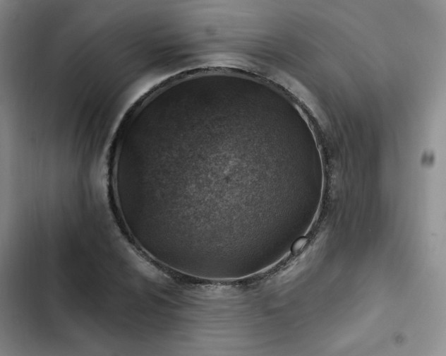X0000103161024200808221349