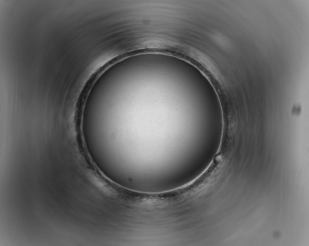 X0000103161026200808221349