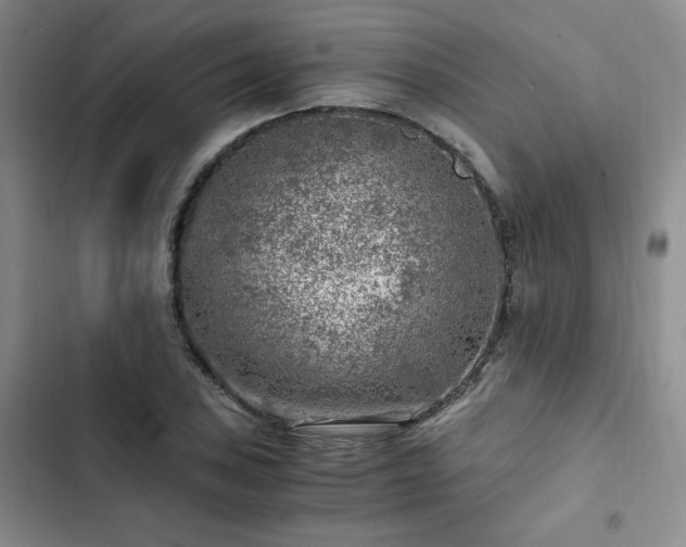 X0000103161027200808221349