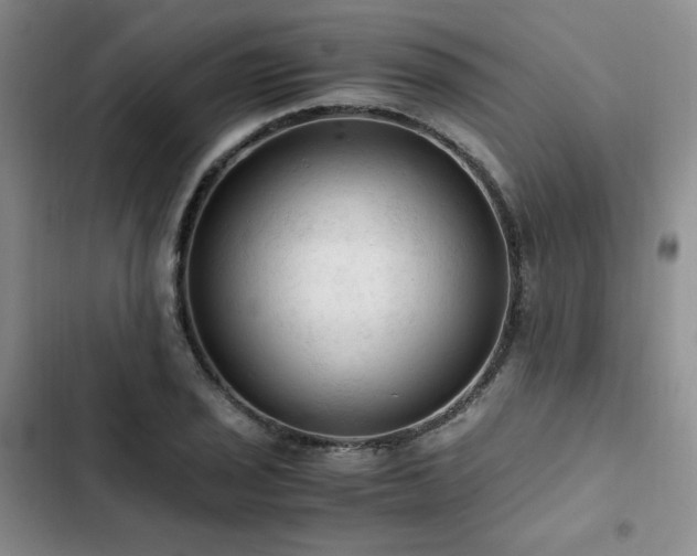 X0000103161029200808221349