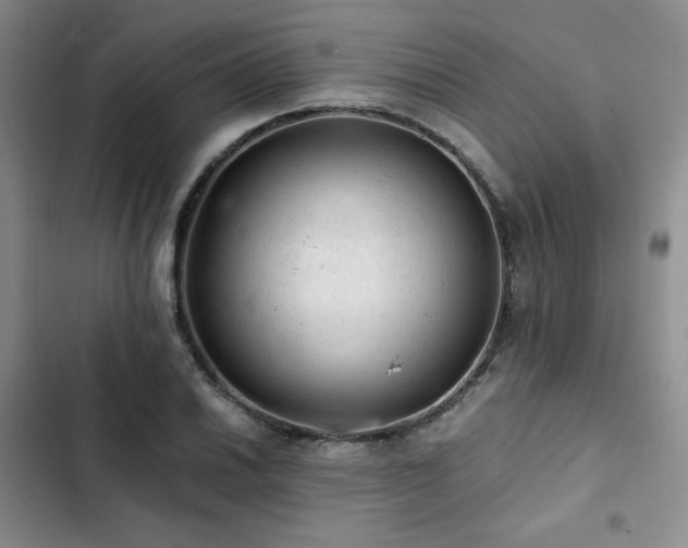 X0000103161030200808221349