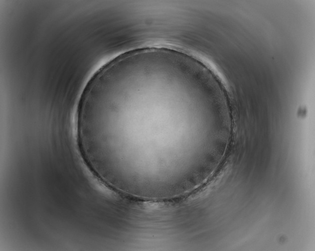 X0000103161032200808221349