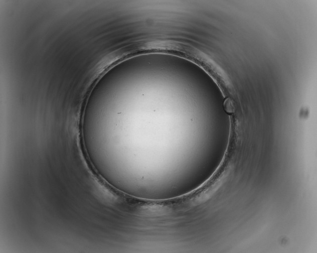 X0000103161033200808221349