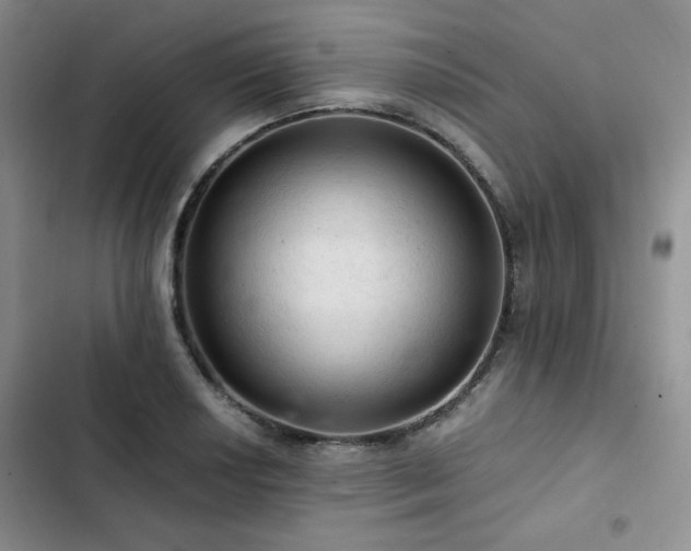 X0000103161034200808221349