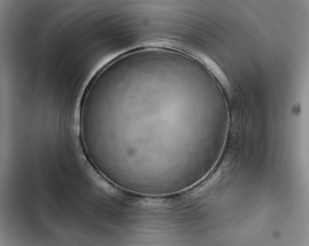 X0000103161036200808221349
