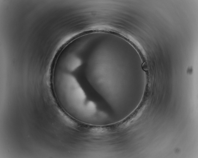 X0000103161037200808221349